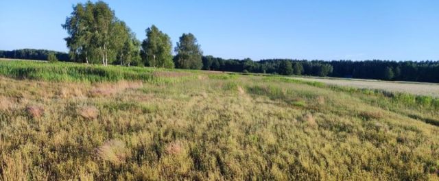 Działka rolna Kuźniczysko. Zdjęcie 1