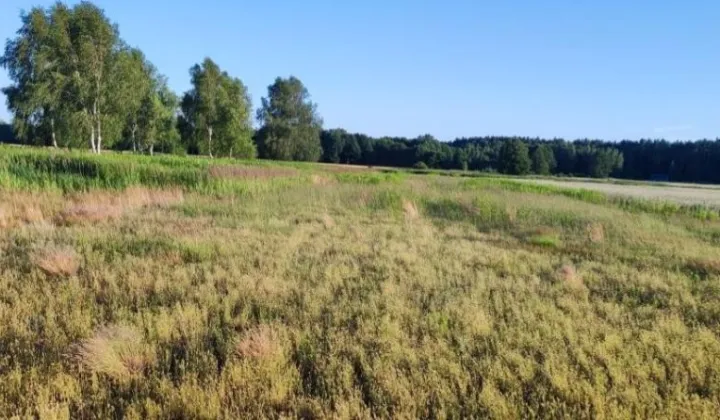 Działka rolna Kuźniczysko