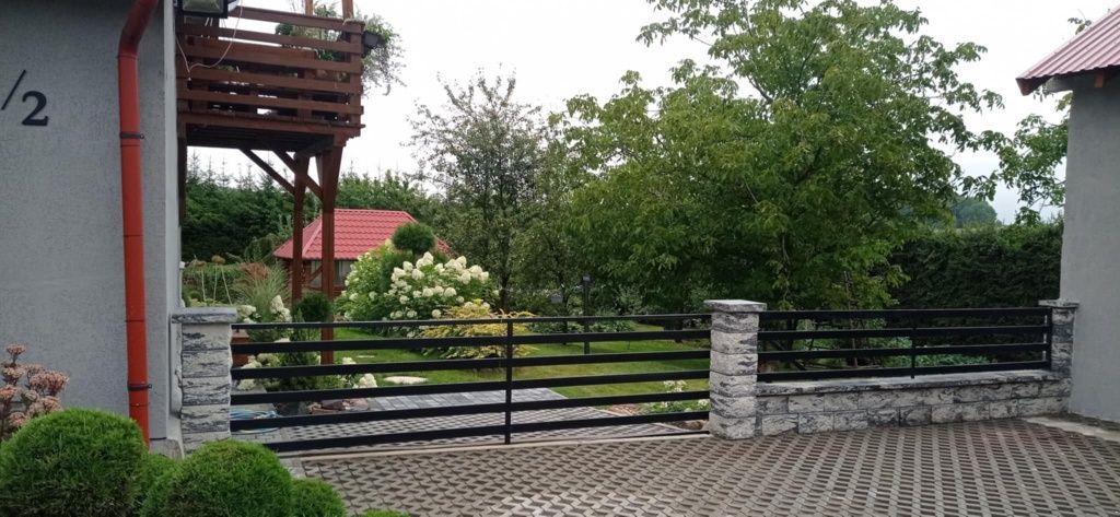 bliźniak Czarny Kierz. Zdjęcie 5