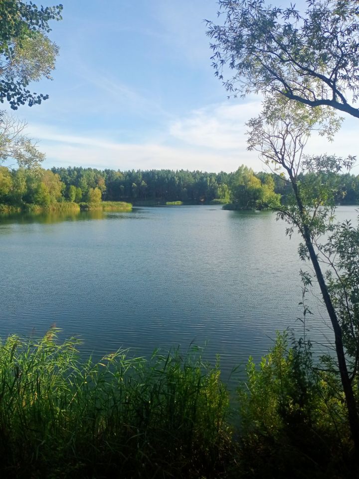 Działka rolno-budowlana Bereza. Zdjęcie 2