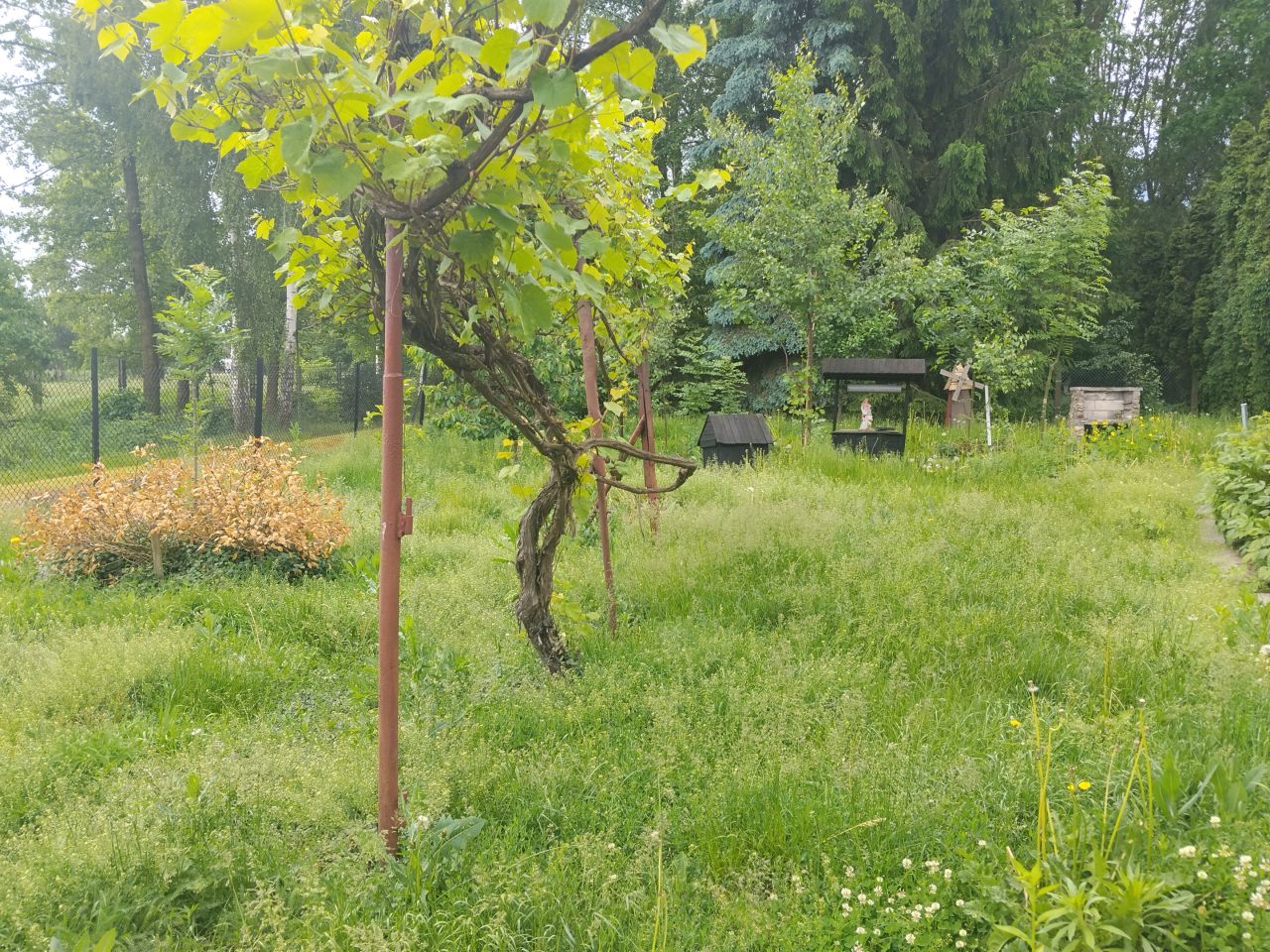 dom wolnostojący, 3 pokoje Grzegorzew, ul. Ogrodowa. Zdjęcie 7