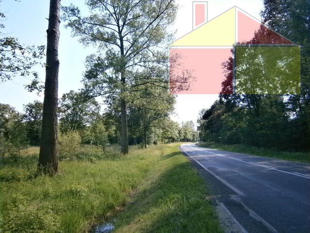 Działka inwestycyjna Lubomyśl. Zdjęcie 2