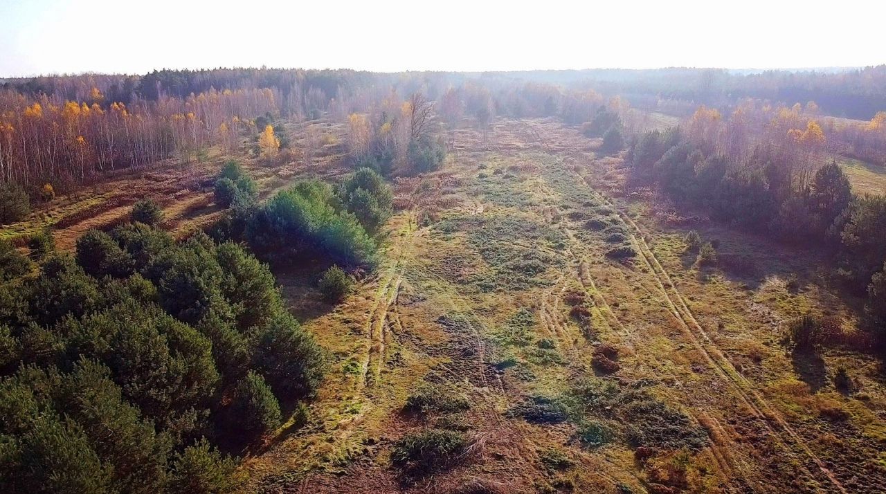 Działka rolno-budowlana Górki. Zdjęcie 6