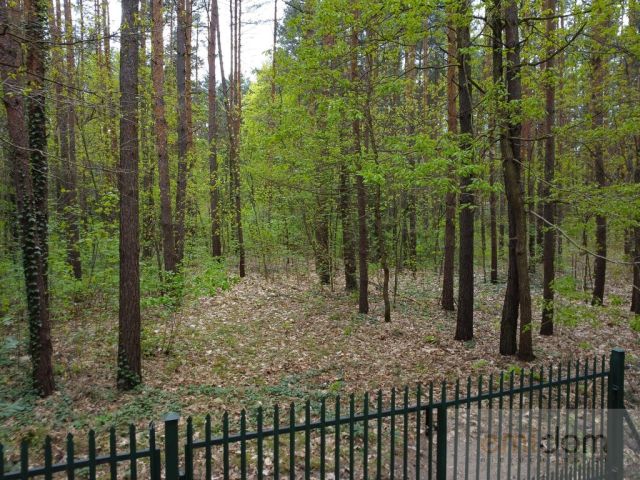 Działka leśna Siestrzeń. Zdjęcie 1