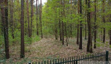 Działka leśna Siestrzeń