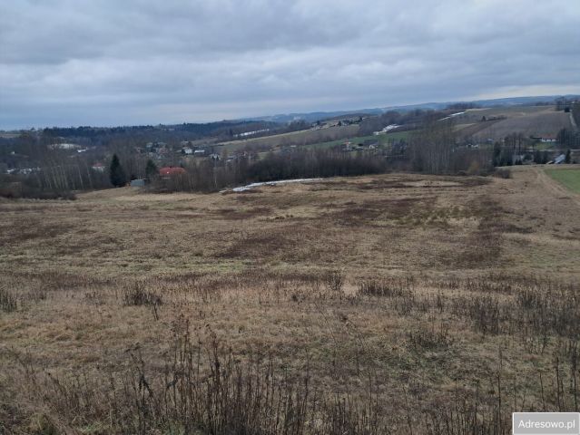 Działka rolno-budowlana Czermna. Zdjęcie 1