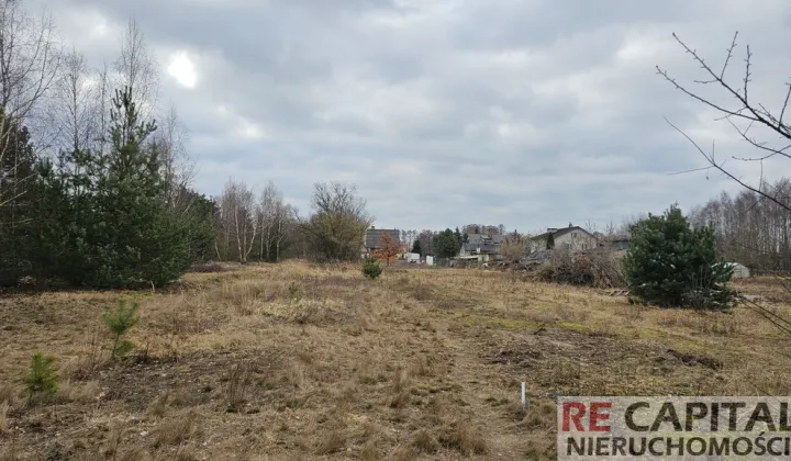 Działka budowlana Borzęcin Mały, ul. Kosmowska