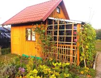 Działka rod Morąg. Zdjęcie 4