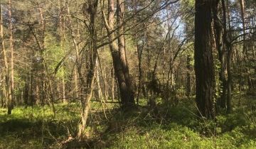 Działka leśna Przełaj Czepiecki