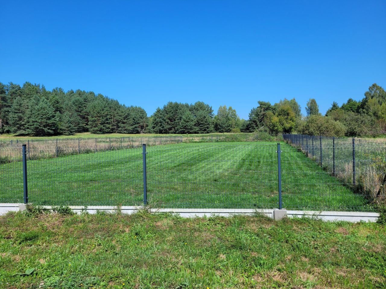 Działka rolna Zgniłocha, Brak. Zdjęcie 7