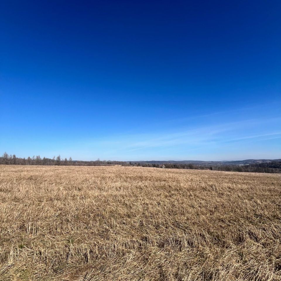 Działka budowlana Tuchów. Zdjęcie 9