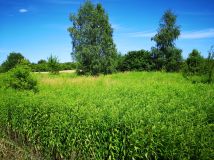 Działka rolna Mirowice. Zdjęcie 3