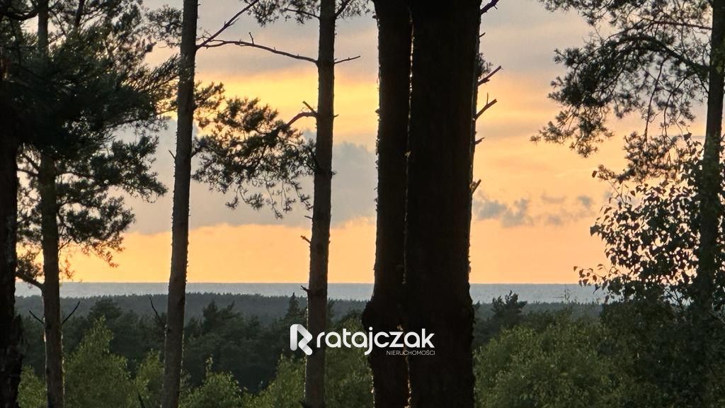 Działka budowlana Sasino, ul. Stara Cegielnia. Zdjęcie 11