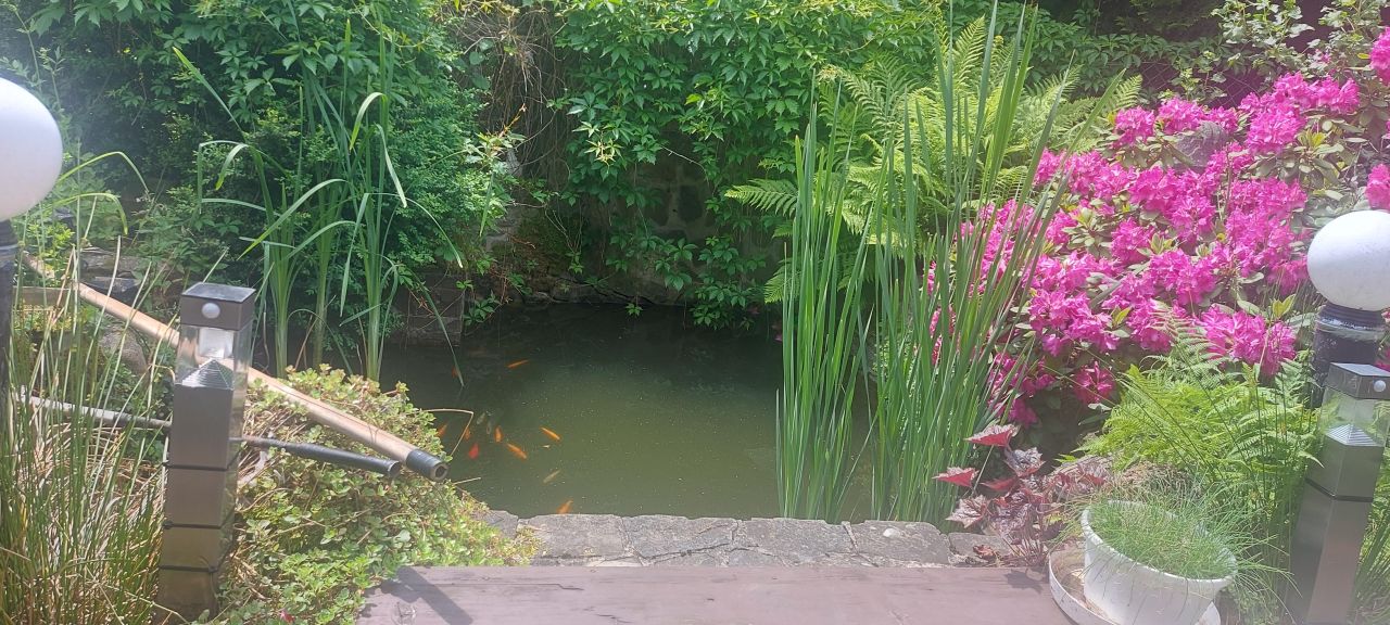 dom wolnostojący, 5 pokoi Szczyrk Szczyrk Dolny, ul. Beskidzka. Zdjęcie 8