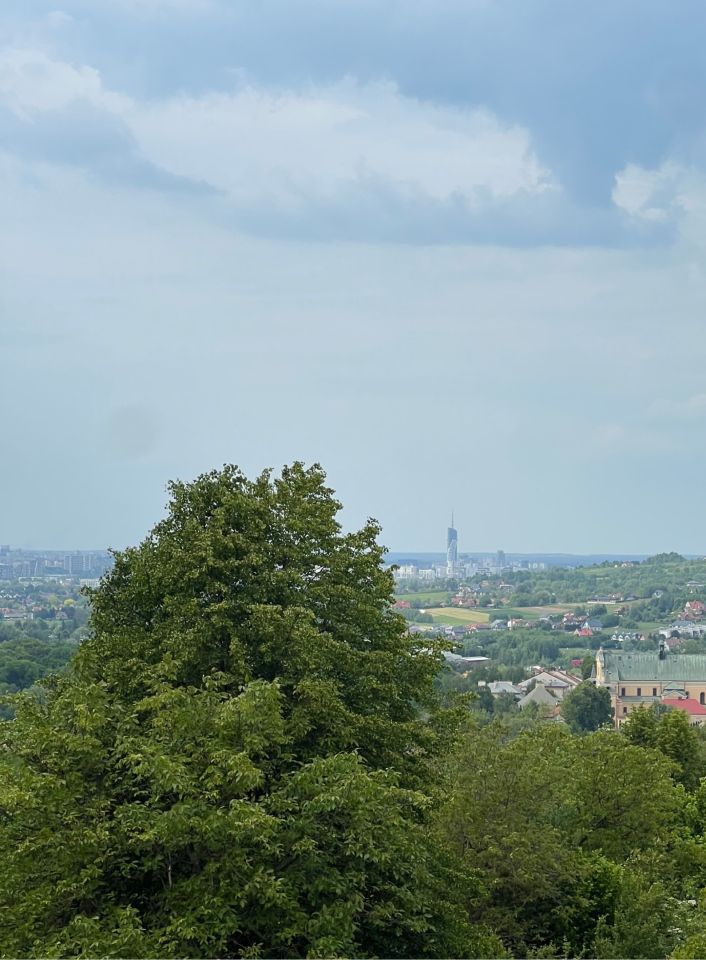 Działka budowlana Tyczyn, ul. Mickiewicza. Zdjęcie 5