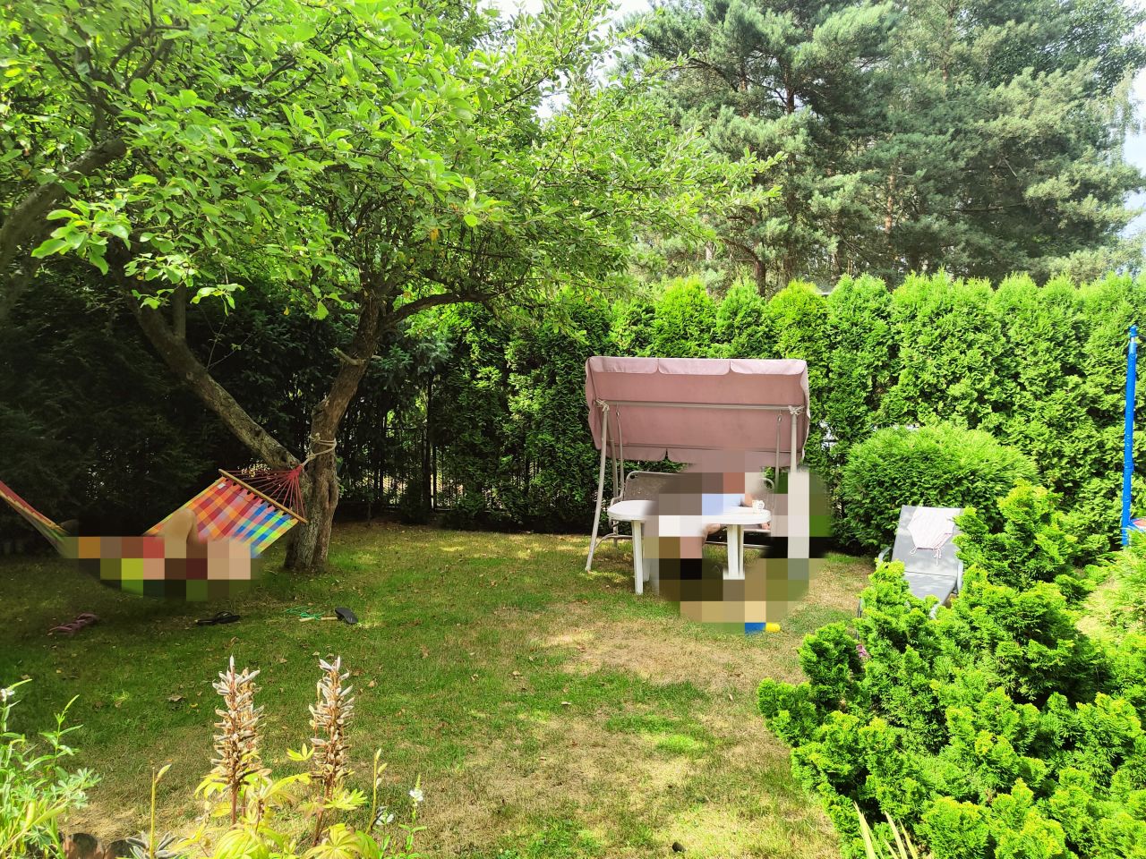 Działka rod Romanów, Romanów 18A. Zdjęcie 4