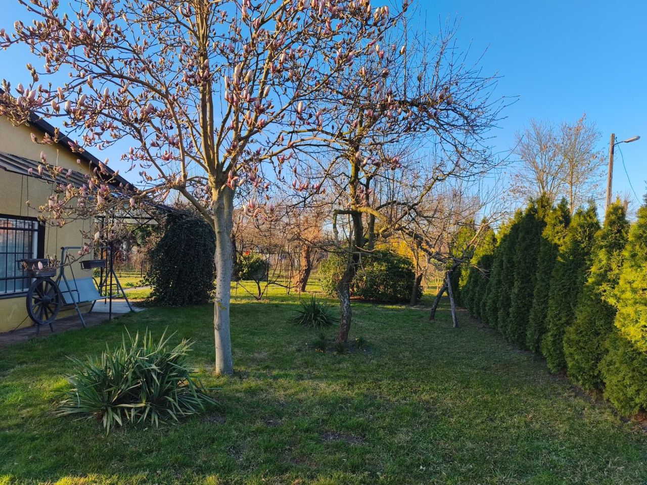 Działka rod Gorczyn. Zdjęcie 5