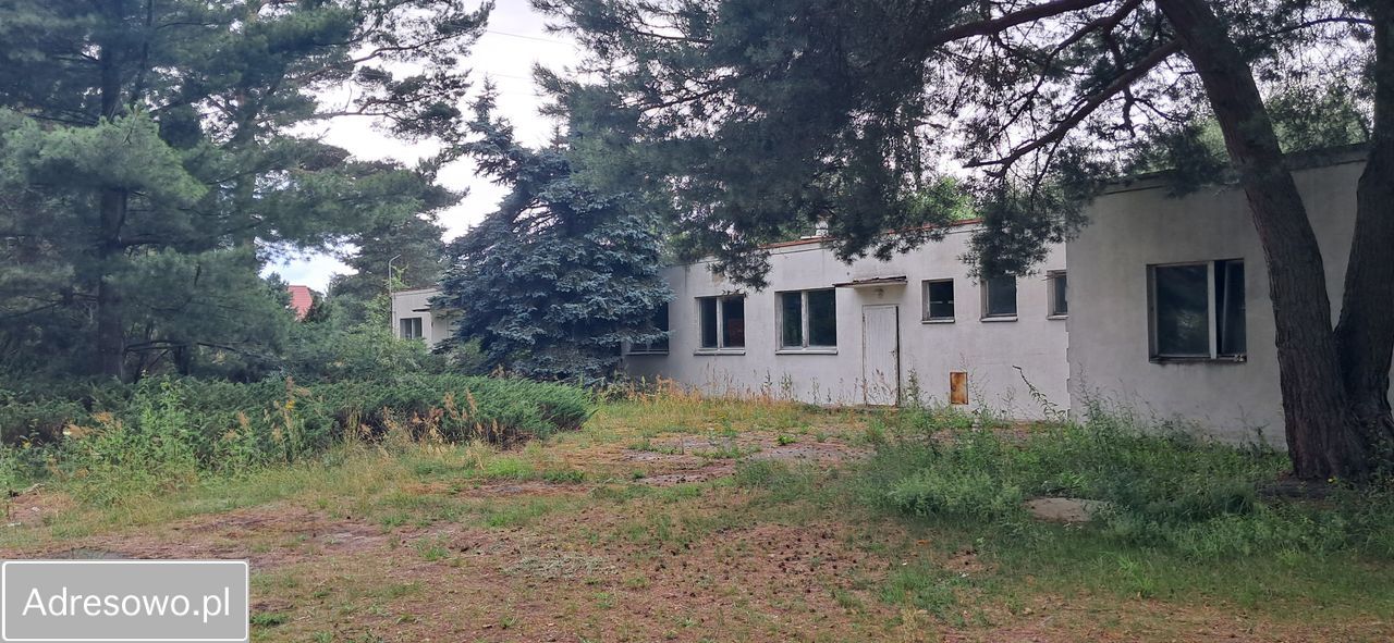 dom wolnostojący, 6 pokoi Radzewice, ul. Długa. Zdjęcie 4