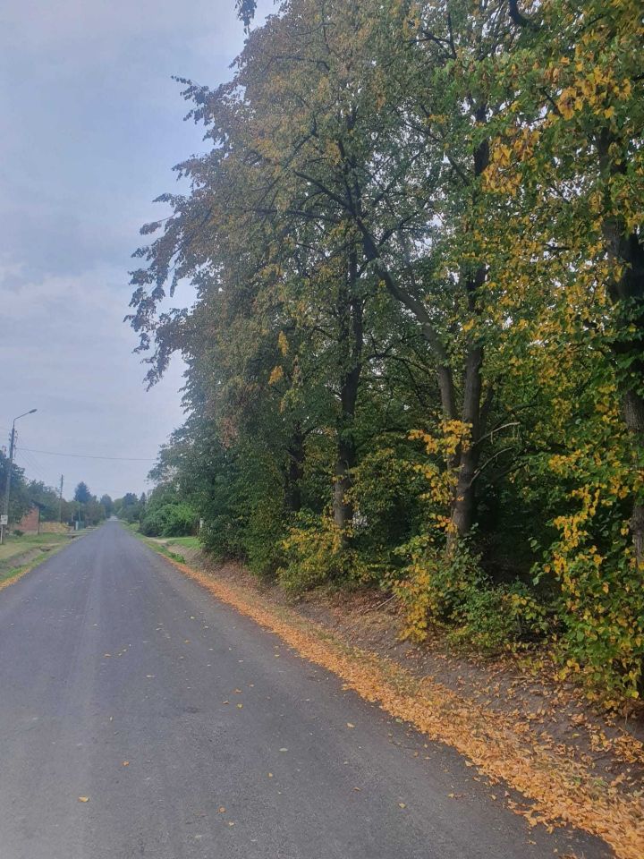 Działka rolno-budowlana Młodocin Mniejszy. Zdjęcie 3