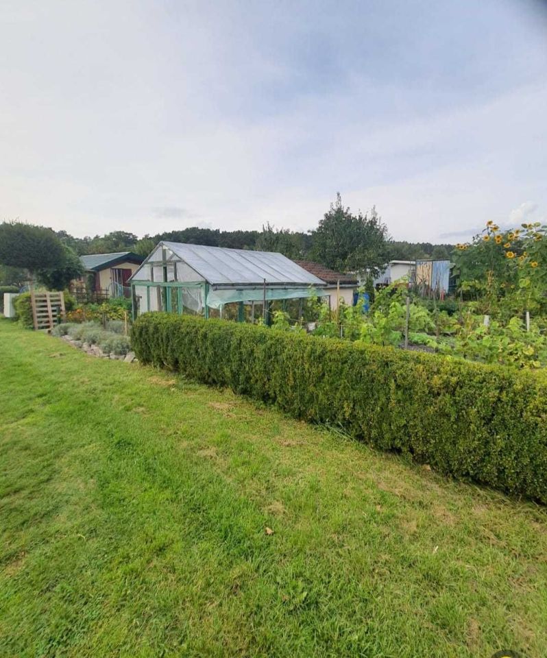 Działka rod Piła. Zdjęcie 8