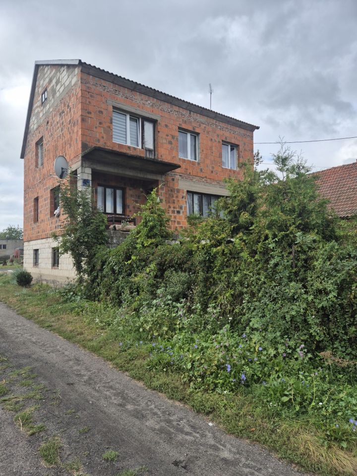 gospodarstwo Orzechowo. Zdjęcie 5