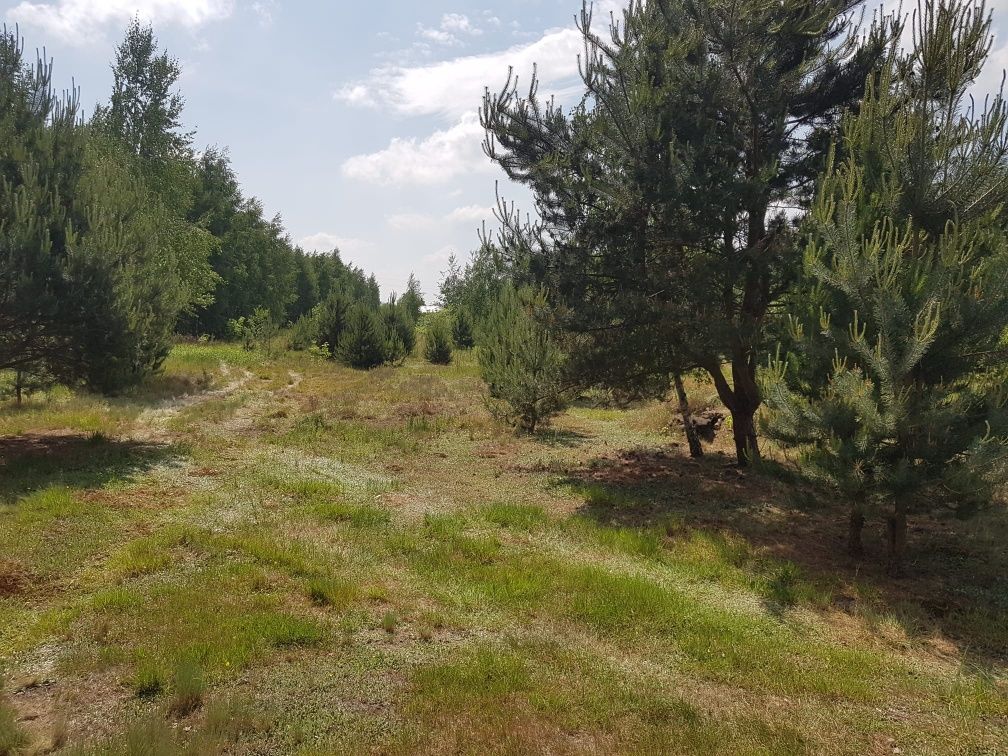 Działka budowlana Gilówka Górna. Zdjęcie 5