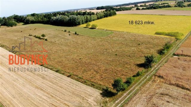 Działka rolna Zakrzewo. Zdjęcie 11