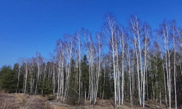 Działka budowlana Brok Zamoście, ul. Zamoście. Zdjęcie 1