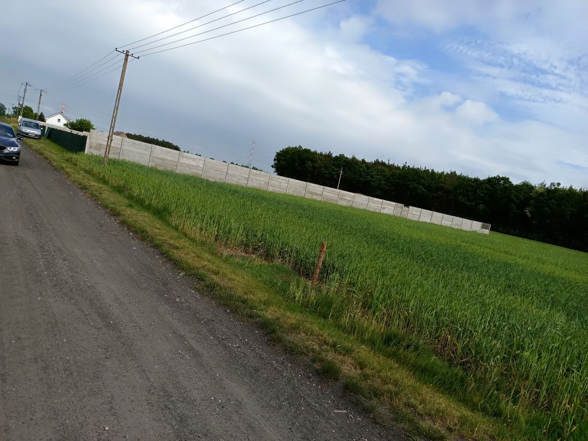 Działka budowlana Kruczyn. Zdjęcie 2