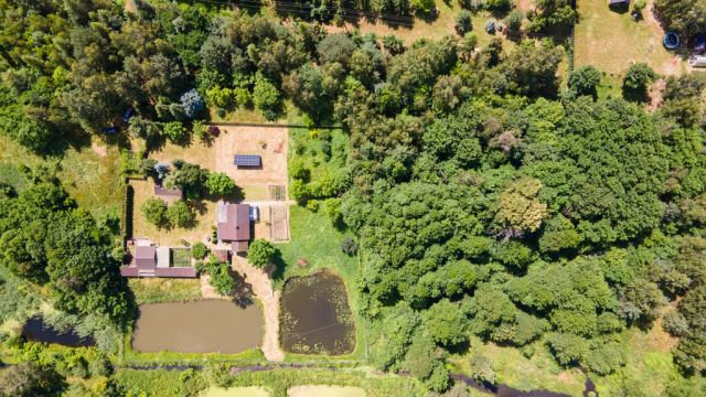 Działka siedliskowa Tarło. Zdjęcie 8