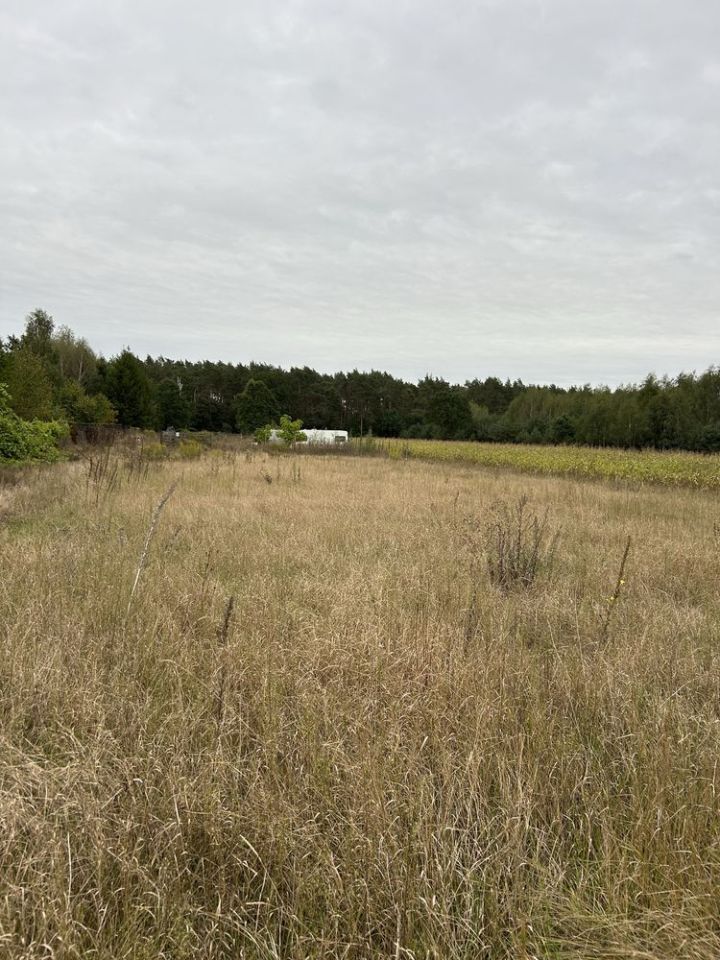 Działka budowlana Zofibór. Zdjęcie 3