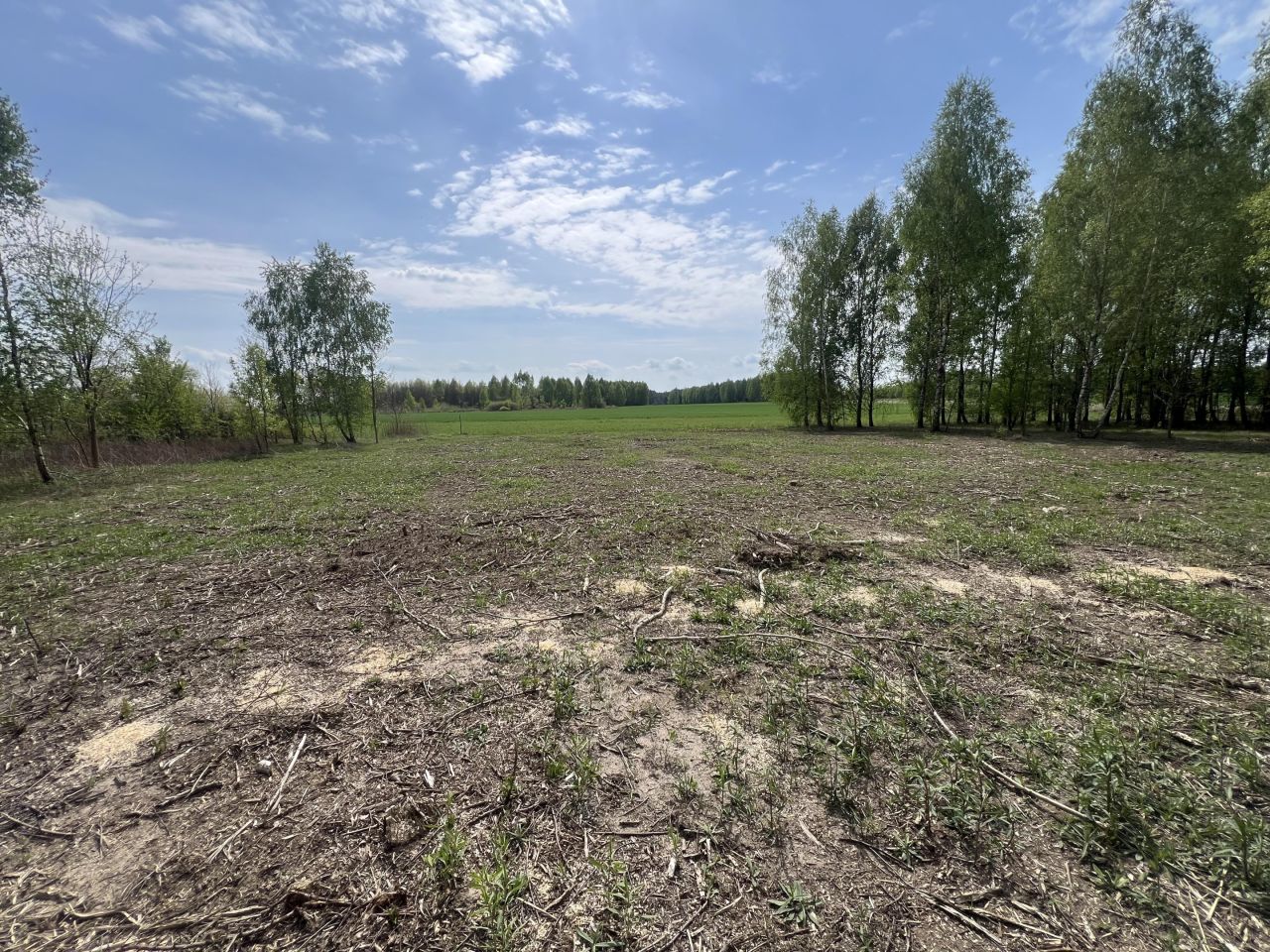 Działka budowlana Mlęcin. Zdjęcie 5