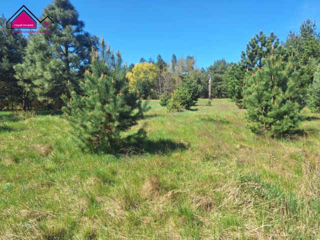 Działka inwestycyjna Wygoda. Zdjęcie 3