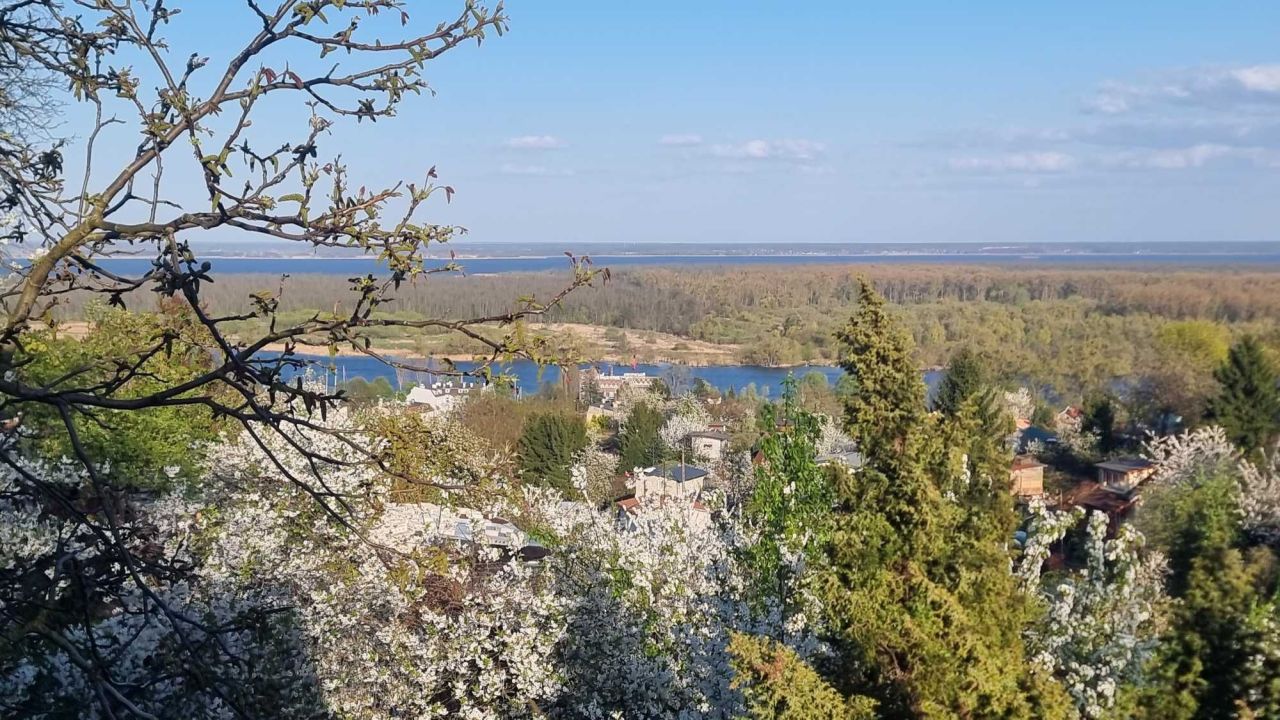 Działka rod Szczecin Golęcino. Zdjęcie 3