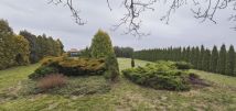 Działka inna Wola Błędowa. Zdjęcie 3