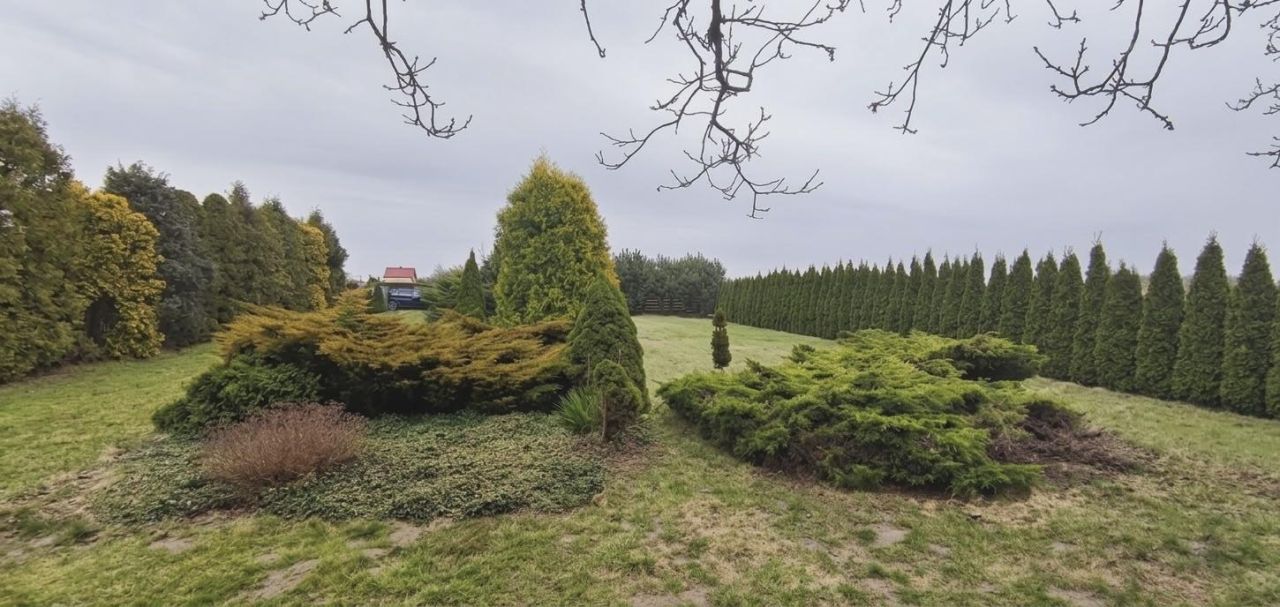 Działka inna Wola Błędowa. Zdjęcie 4