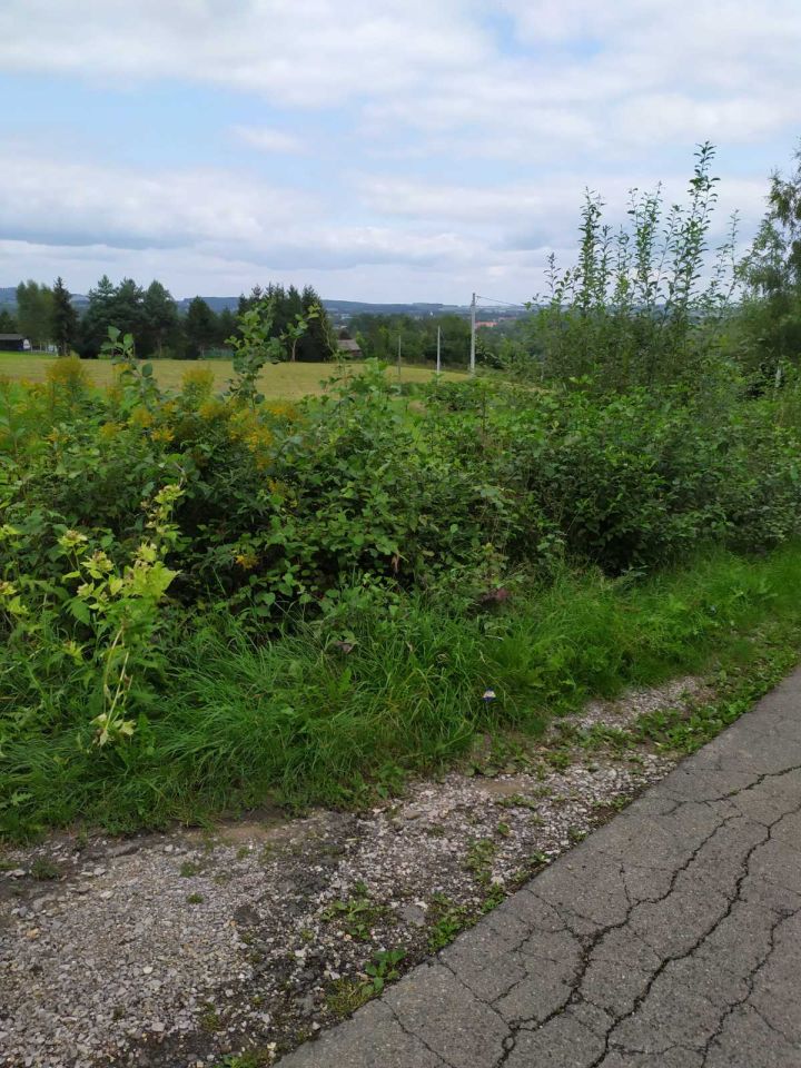 Działka rekreacyjna Zręczyce. Zdjęcie 10