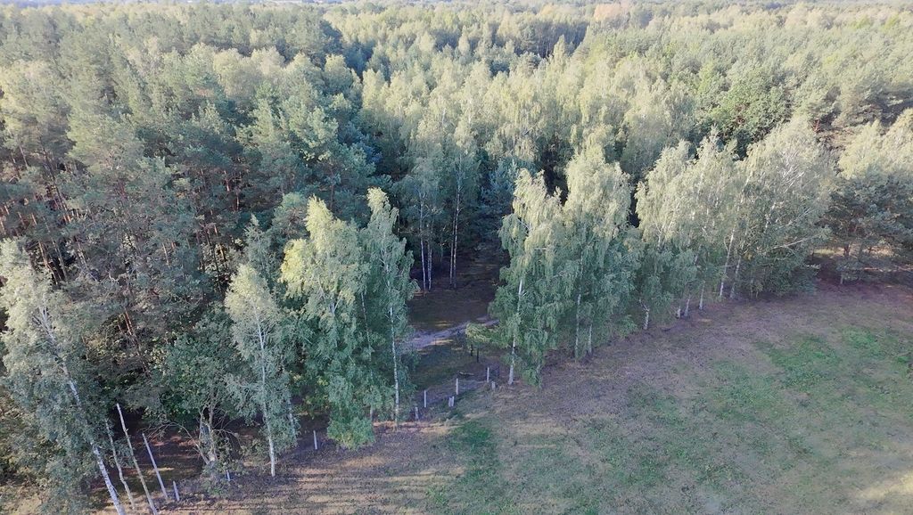 Działka budowlana Korzeniówka. Zdjęcie 2