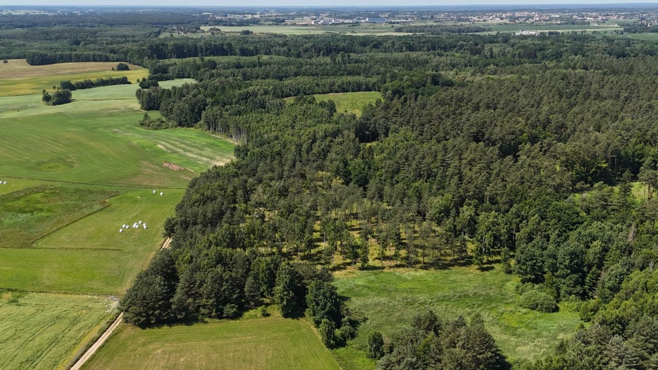 Działka budowlana Sadowo. Zdjęcie 1