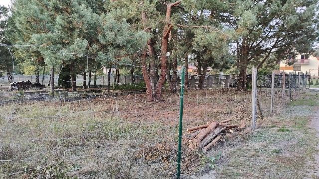 Działka budowlana Brzóza, ul. Piaski. Zdjęcie 6