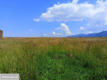 Działka rolna Domaszków, ul. Śnieżna. Zdjęcie 4