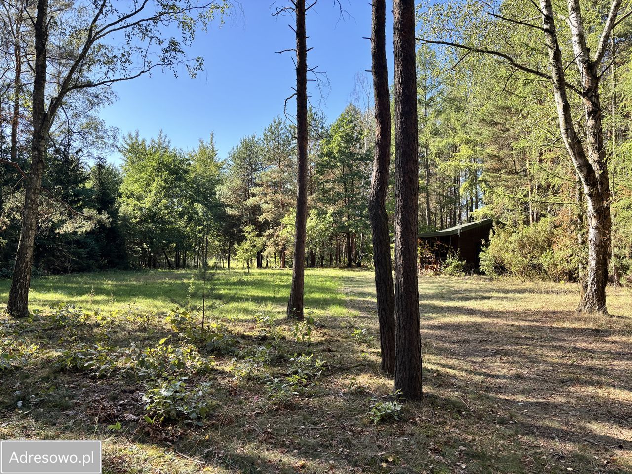 Działka budowlana Jeziórko Ustanówek, ul. Wiosenna