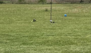 Działka budowlana Tychy Cielmice