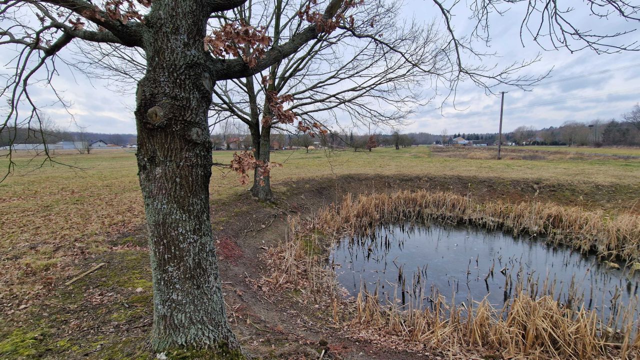 Działka rolno-budowlana Gąsocin, ul. Pułtuska. Zdjęcie 8