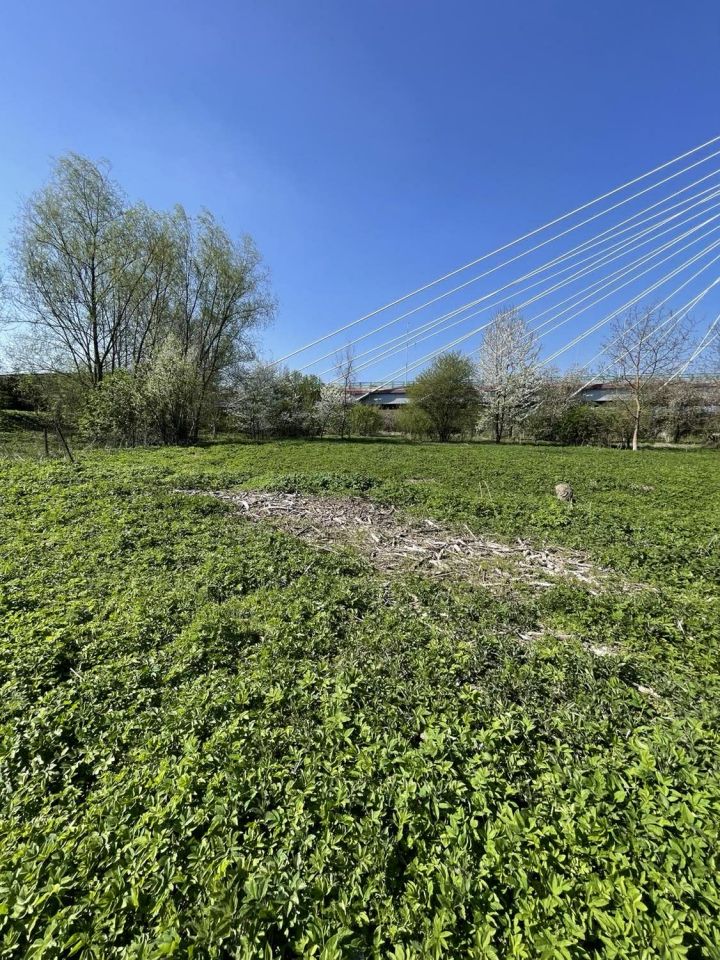 Działka inwestycyjna Przemyśl Wilcze, ul. Sanowa. Zdjęcie 6