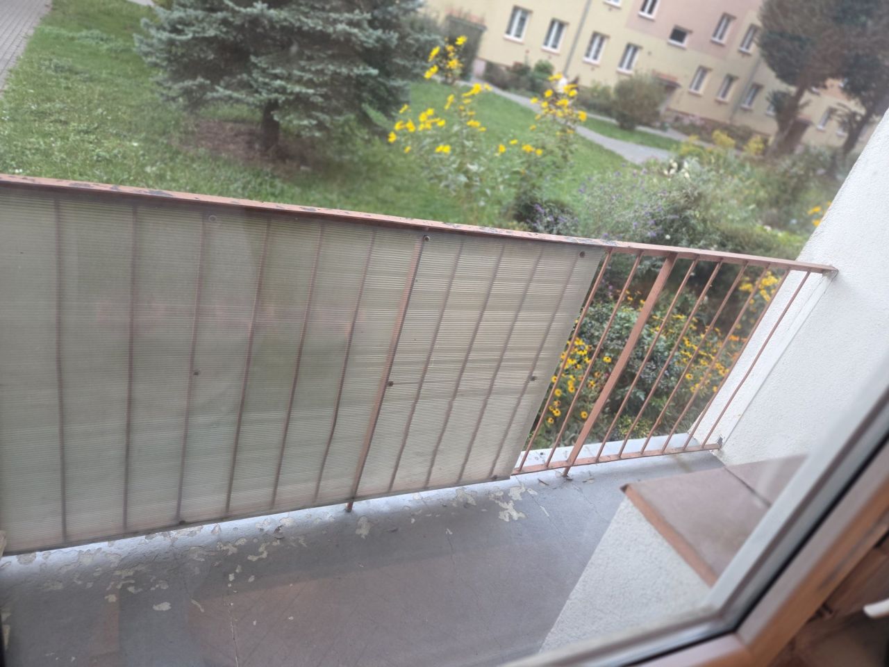 Zdjęcie 8