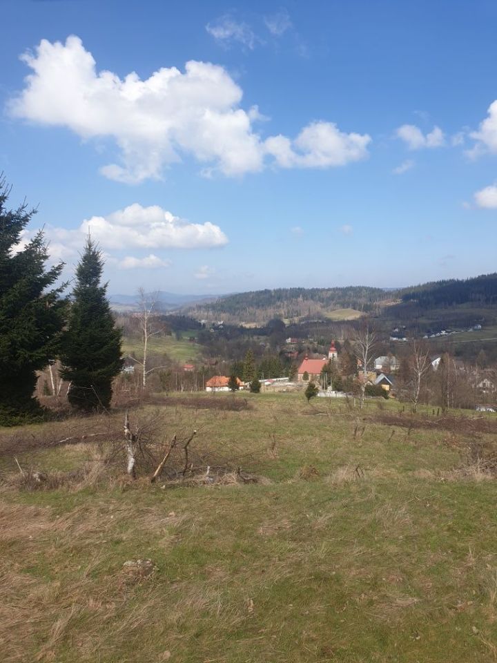 Działka rolna Bolesławów. Zdjęcie 8