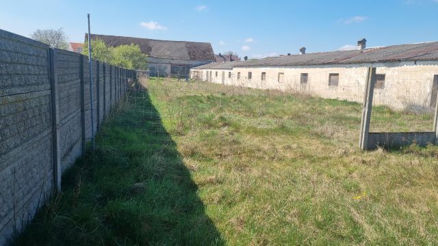 Działka rolna Marianowo, ul. Rolna. Zdjęcie 1