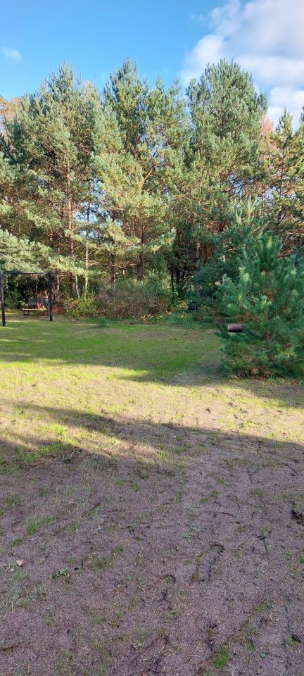 Działka rekreacyjna Morgi, ul. 25. Zdjęcie 3