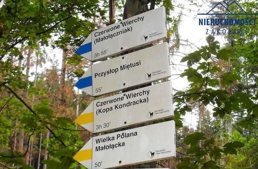 Mieszkanie 3-pokojowe Zakopane. Zdjęcie 6